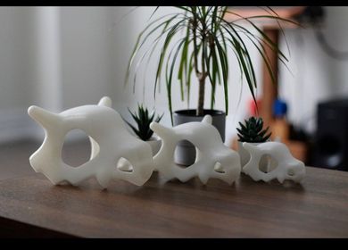 Pokemon Cubone Skull